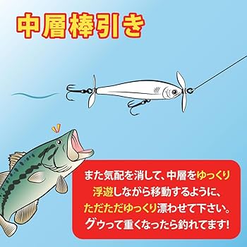 Amazon | ラッキークラフト(LUCKY CRAFT)ビーストレート48F (0003